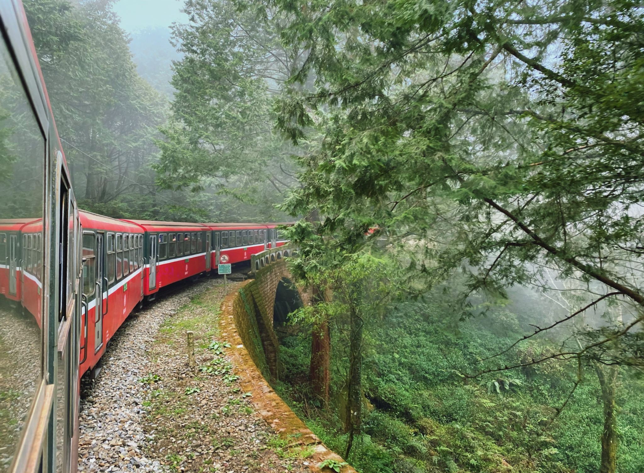 Excursión cultural y ecológica de un día a Chiayi Alishan | Salida desde Kaohsiung o Tainan | Entrada incluida