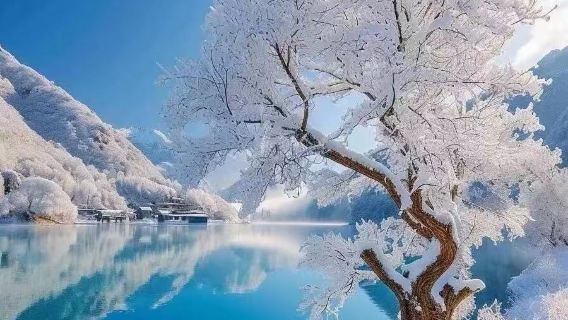 Hemu Shared Transfer & Private Charter Day Tour: A Fairytale | Powder Snow + Handsome Ski Instructors! Your Exclusive Winter Romance Checklist