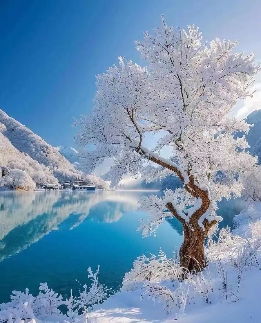 ทัวร์วันรถโดยสารร่วมและเหมารถที่หมู่บ้านเหมู่ เทพนิยาย | หิมะสีชมพู + สไลเดอร์สุดหล่อ! รายการความโรแมนติกในฤดูหนาวที่เก็บไว้เป็นความลับ