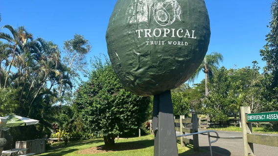 【親子遊】澳洲黃金海岸|熱帶水果世界+危險角+波利角一日遊