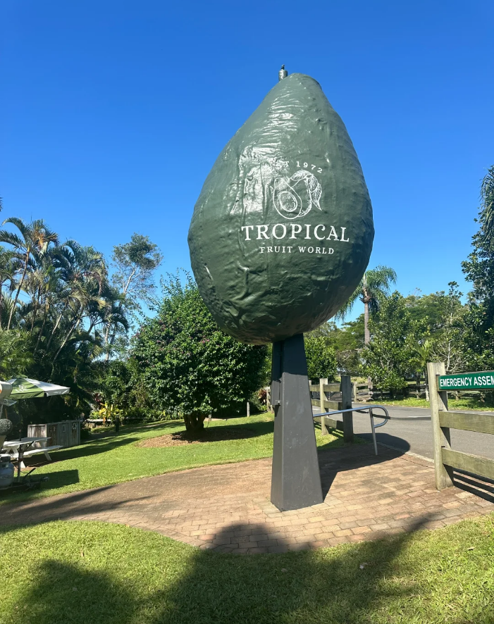 【親子遊】澳洲黃金海岸|熱帶水果世界+危險角+波利角一日遊