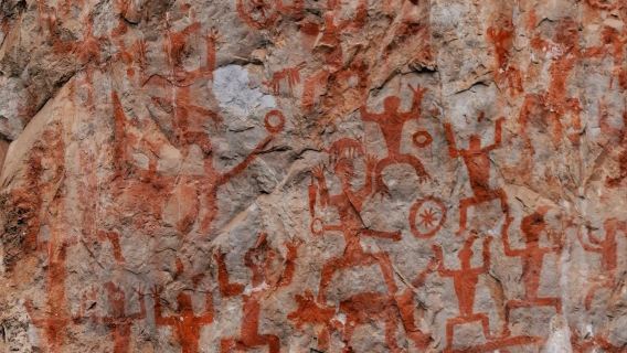 廣西崇左出發|白頭葉猴+花山岩畫+友誼關|包車日遊&地陪