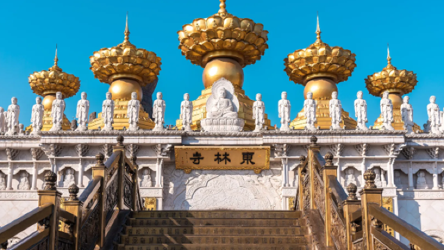 [Excursiones cerca de Shanghái] Templo Donglin + Parque Ecológico Huakaihaishang + Antiguo Pueblo de Fengjing