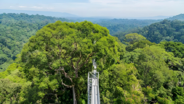 Perjalanan Santai Brunei: Lawatan Sehari Santai untuk Menandai Tempat Menarik (Pengangkutan Khas dari Lapangan Terbang/Pelabuhan Kapal)