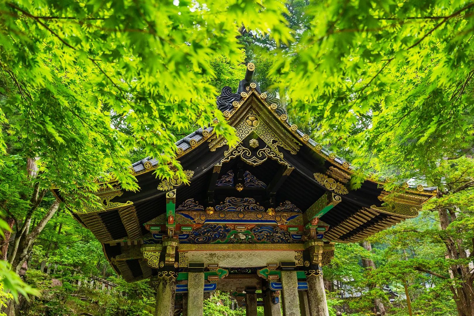 Nikko World Heritage 1-day Tour: Toshogu Shrine & Lake Chūzenji & Kegon Waterfalls & Hot Spring Bathing in Onsen Village