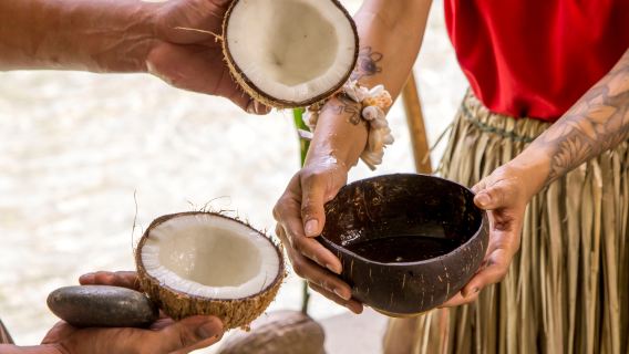 Подводная обсерватория и развлечения с кокосами