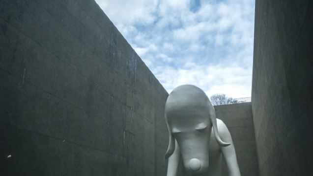 Hari di Aomori: Budaya Nebuta × Warisan Jomon × Lawatan Seni Yayoi Kusama