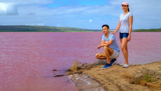 西澳大利亞Hutt Lagoon 粉紅湖+尖峰石陣一日遊