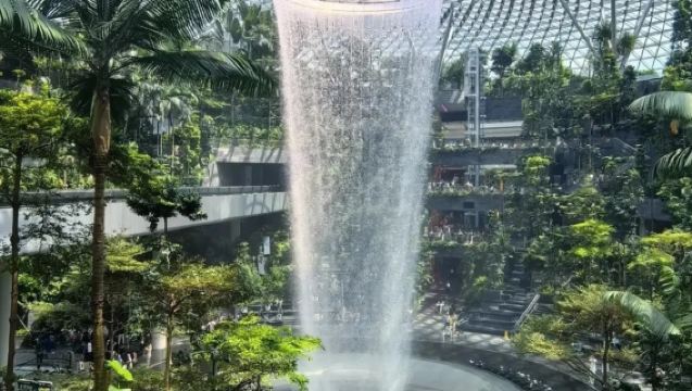 Singapore arrival card writing service | Within 72 hr before arrival | Hassle-free for large families