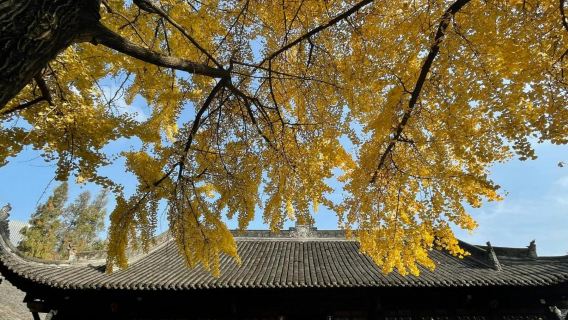 [Pacote privativo para pequenos grupos] Passeio de um dia pelos destaques de Chengdu City Walk + guia em inglês