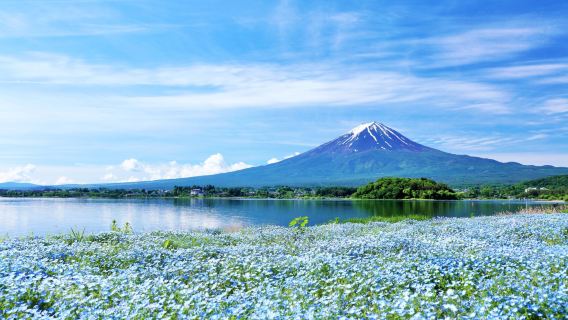 Tour di un giorno al Monte Fuji da Tokyo a Kawaguchiko (sola andata)