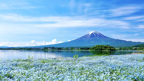 Tokio - Kawaguchiko (Einzelfahrt) Tagesausflug zum Fuji