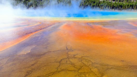 Salt Lake City, Amerika [Sewaan Peribadi Bahasa Cina] Taman Negara Yellowstone - Taman Negara Grand Teton - Lawatan Mendalam