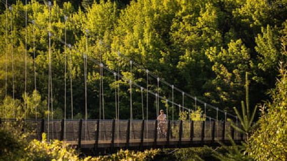 Queenstown: E-bike Hire on the Queenstown Trail