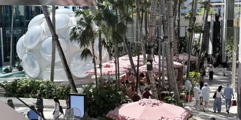 美國邁阿密珊瑚閣+燈塔公園+比斯坎灣國家公園+設計區【秘境】