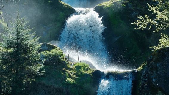 Lawatan Sehari Rentas Sempirade | Air Terjun Triberg + Tasik Titisee (Pergi-Balik Zurich) Tidak Termasuk Tiket