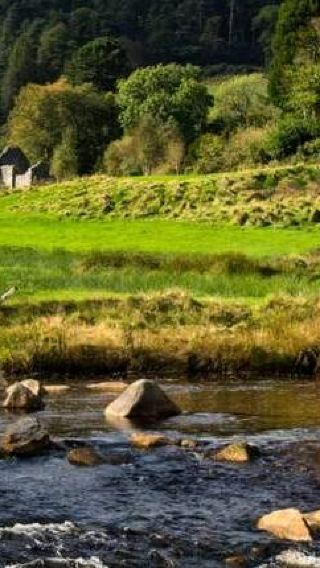 1-day tour to Kilkenny + Wicklow + Glendalough in Northern Ireland [including sheepdog performance]