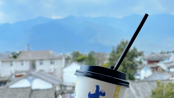 Private chartered tour · Dali · Erhai Lake · ancient town · private driver · door-to-door pickup · admission ticket not included