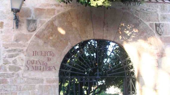 Salamanca Highlights Audio Tour: Architectural Splendors