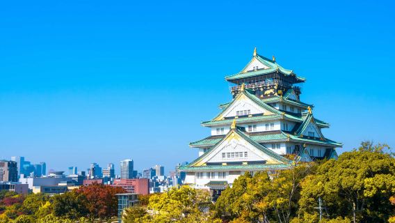 大阪來回-市區景點-阿倍野＋中之島公園包車，行程可調