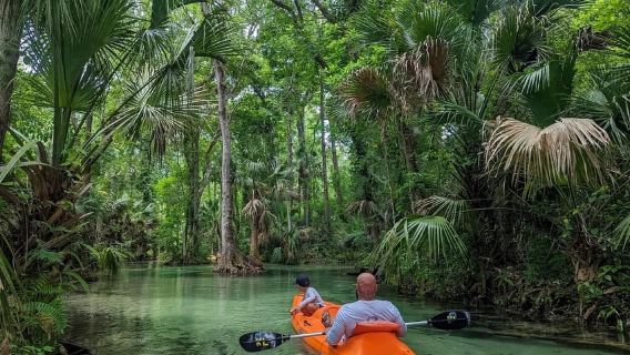 Florida: VIP Wild Florida Kayak Adventure
