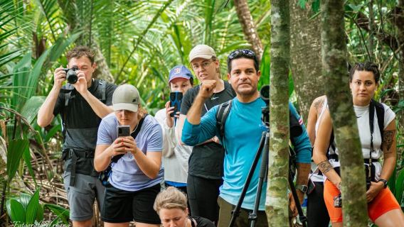 From Uvita: Day Trip to Corcovado National Park by Boat