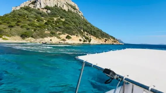 Olbia City Centre: Dolphin Watching and Snorkeling Boat Tour