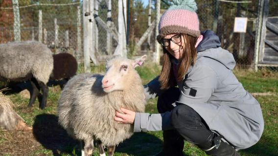 IVALO: Experience Farm Visit | small group