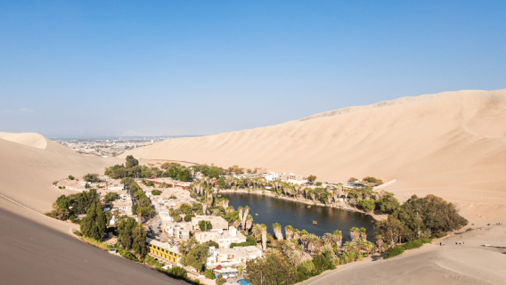 Huacachina: Buggy por las dunas + Sandboarding recreativo + Atardecer