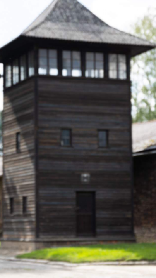 Auschwitz-Birkenau 1-day tour (departing from Krakow, including round-trip transportation