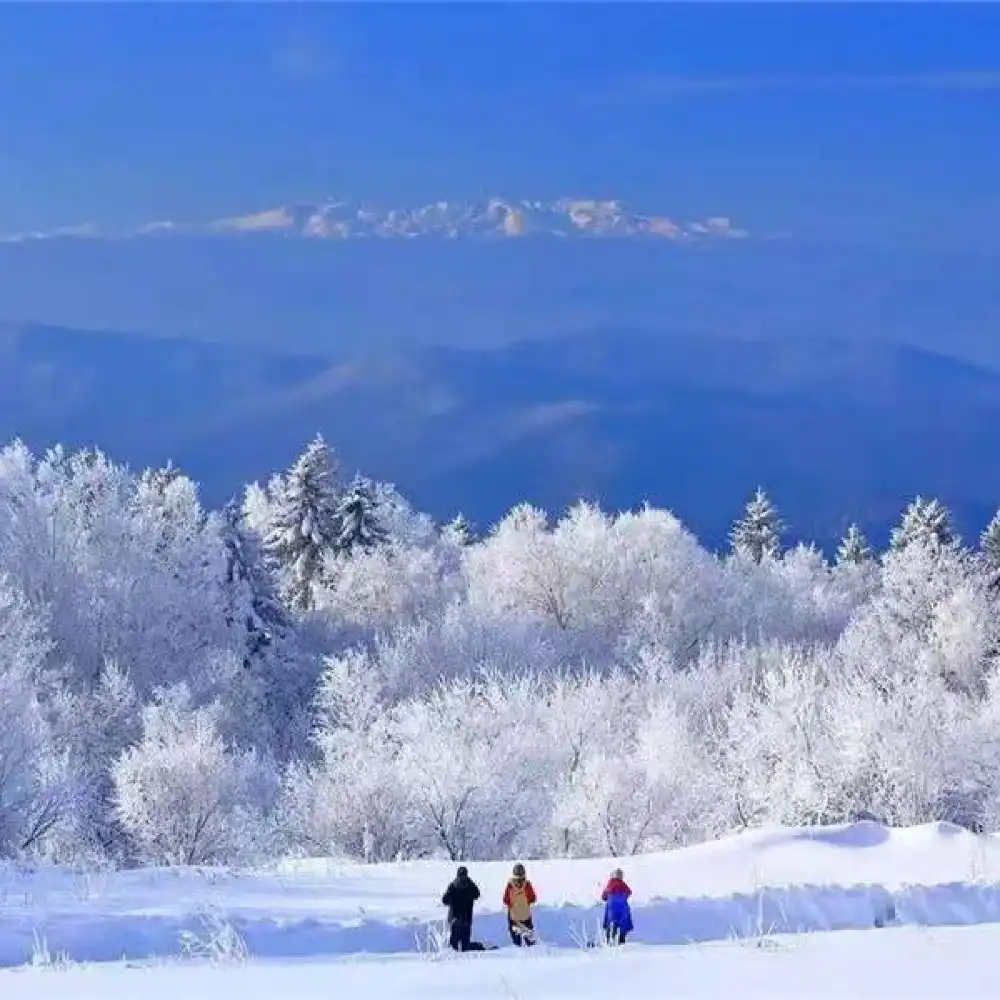 萬達來回·雪嶺/老裏克湖、魔界漂流、冰釣、馴鹿園/門票自理| Trip.com