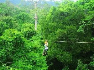 Zip Lining Adventure (Green Course) (15 Stations) - Pattaya