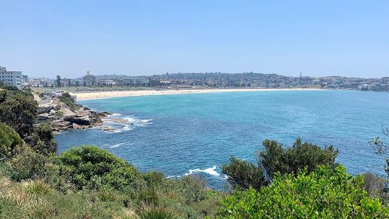 Bondi BeachTours