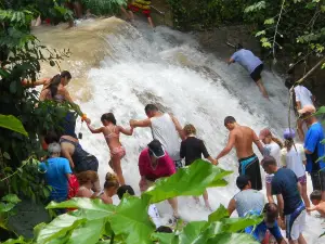Blue Hole and Dunn's River Falls from Montego Bay