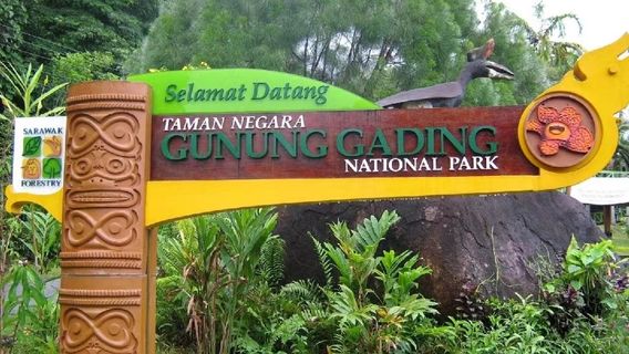 KuchingTours