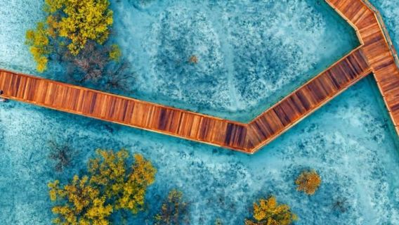 อุทยานป่าชายเลนจูไบล์: ทัวร์ชมทางเดินไม้