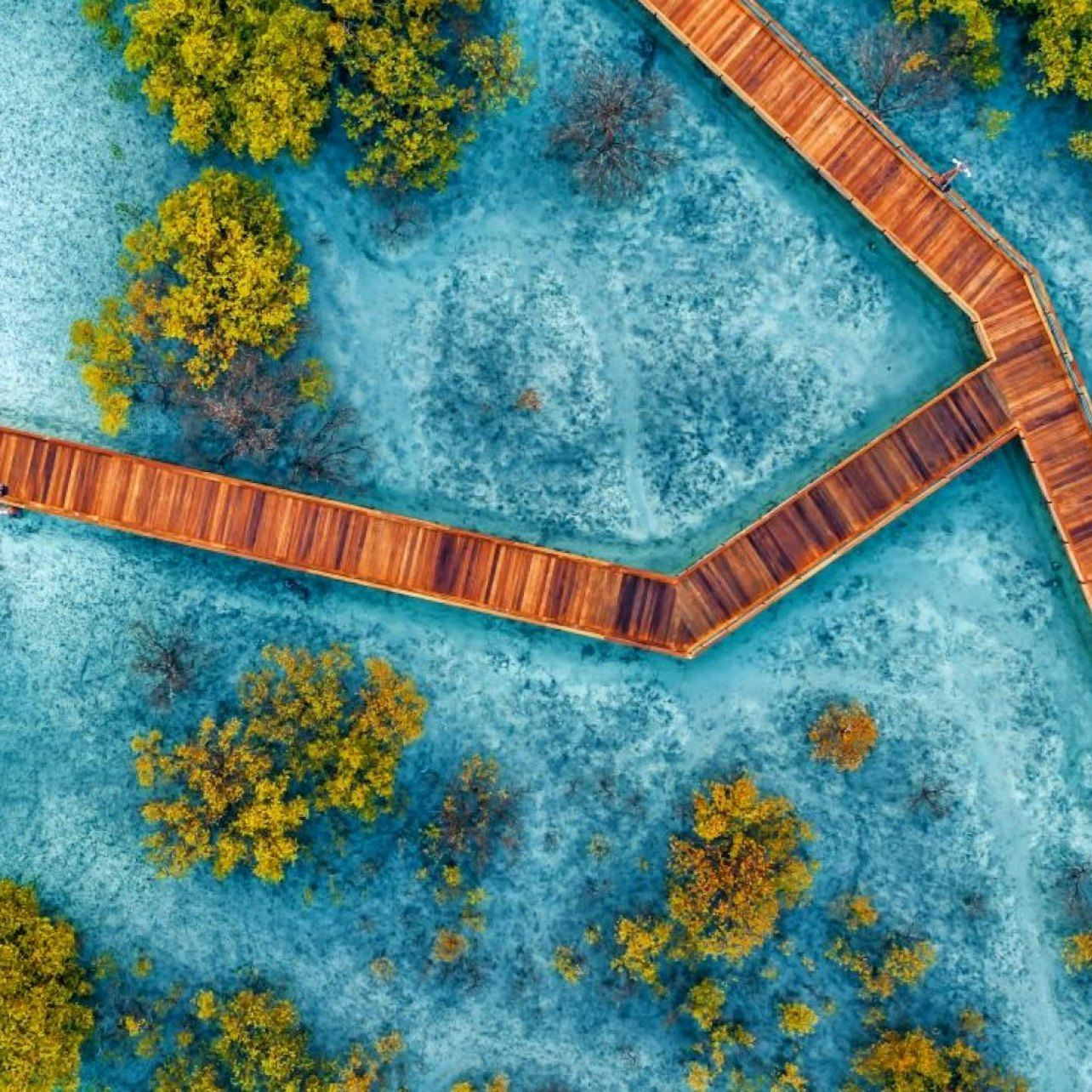 Jubail Mangrove Park: tour esperienziale sul lungomare