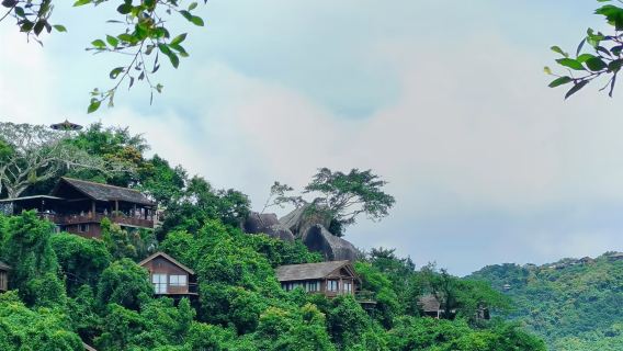 Excursion Excursion d'une journée à Hainan Sanya et au parc forestier paradisiaque tropical de la baie de Yalong Voiture avec chauffeur charter (EA + option) + Guide touristique en langue étrangère