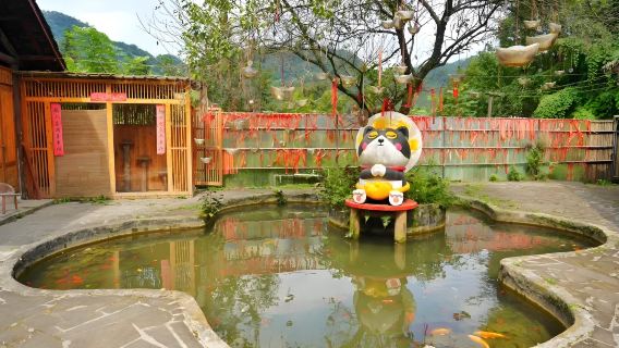 Chengdu Dujiangyan + Maomao Temple + Yangtianwo Square + Guanxian Ancient City one-day tour(Night View of Nanqiao)