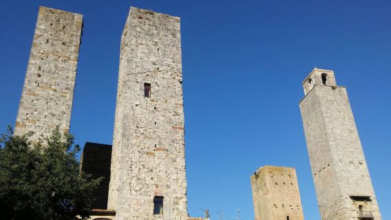 San Gimignano: Vineyard Guided Tour + Wine Tasting + Lunch