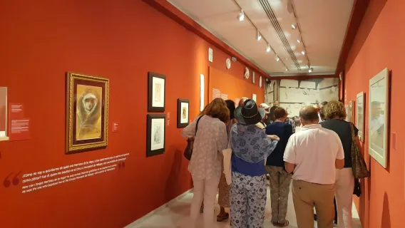 Picasso Birthplace Museum: Entry Ticket