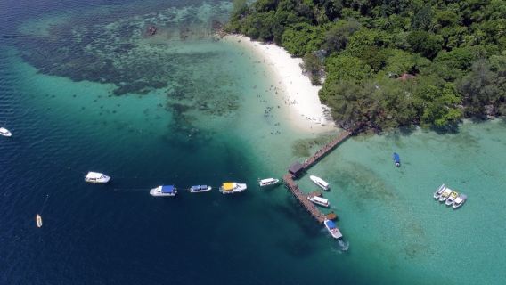 Experiencia de esnórquel en la isla Sapi - Muelle de Sutera Marina|Kota Kinabalu, Sabah