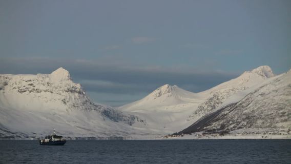 挪威特羅姆瑟——————塞尼亞島——————包車【精選老司機】