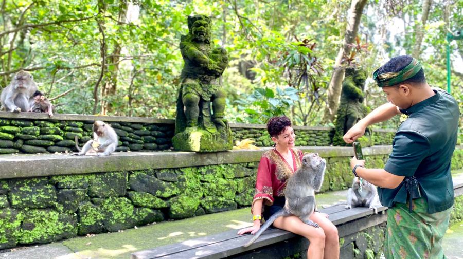 烏布全包私人旅遊：猴子森林、瀑布、寺廟和梯田鞦韆
