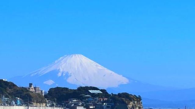 日本東京+鐮倉+湘南海岸一日遊/行程可調-可訂製多日遊