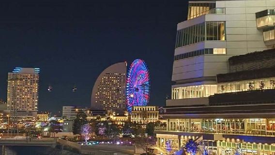日本東京+鎌倉+鎌倉大佛一日遊/行程可調-可客製化多日遊