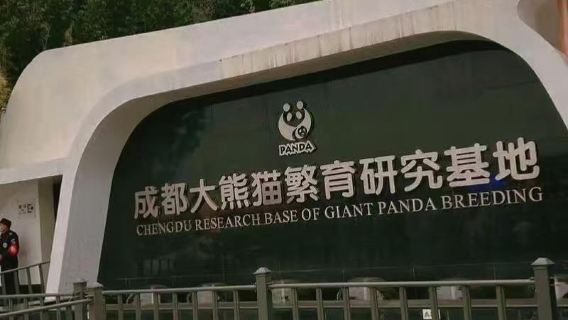 ChengduExperiences