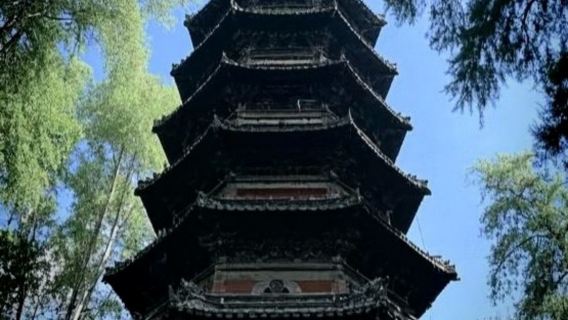 登封少林寺+龍門石窟一日遊【洛陽出發】