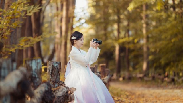 Tagesausflug zur klassischen Route der Nami-Insel | Nami-Insel, Petite France, Italienisches Dorf & Hanbok-Erlebnis