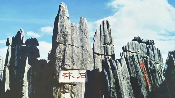 Discovery more Kunming forest stone and jiuxiang cave day tour